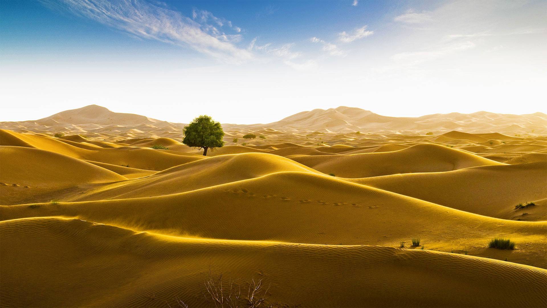 2019沙漠冲沙_旅游攻略_门票_地址_游记点评,迪拜旅游景点推荐 - 去哪儿攻略社区